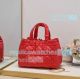 Replica CD Toujours red medium bag (2)_th.jpg